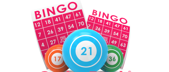 10 fapte interesante despre bingo pe care nu le știai
